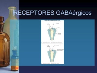 RECEPTORES GABAérgicos
 