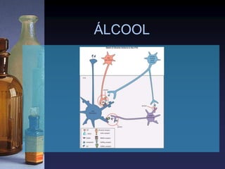 ÁLCOOL
 