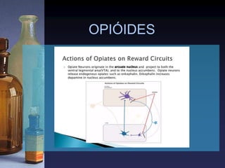 OPIÓIDES
 