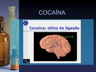 COCAÍNA
 