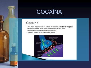 COCAÍNA
 