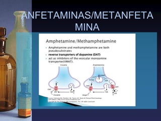 ANFETAMINAS/METANFETA
MINA
 