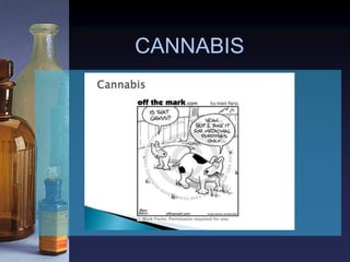 CANNABIS
 