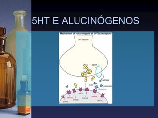 5HT E ALUCINÓGENOS
 