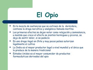 El Opio
 Es la mezcla de sustancias que se extraen de la dormidera,
contiene la droga narcótica y analgésica llamada morfina
 Los primeros efectos se dejan notar como relajación y somnolencia,
a medida que crece el efecto se sienten hormigueo y picores, se
deja de sentir dolor, si se padecía
 Es una droga ilegal en Chile y muy pocos países autorizan
legalmente el cultivo
 La India es el mayor productor legal a nivel mundial y el único que
lo produce de la manera tradicional
 Estados Unidos es el mayor consumidor de productos
farmacéuticos derivados del opio
 