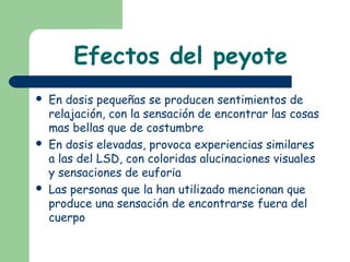 Efectos del peyote
 En dosis pequeñas se producen sentimientos de
relajación, con la sensación de encontrar las cosas
mas bellas que de costumbre
 En dosis elevadas, provoca experiencias similares
a las del LSD, con coloridas alucinaciones visuales
y sensaciones de euforia
 Las personas que la han utilizado mencionan que
produce una sensación de encontrarse fuera del
cuerpo
 