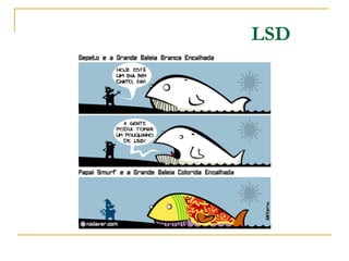 LSD 