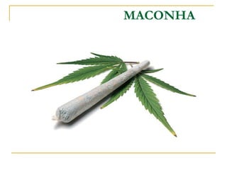 MACONHA 