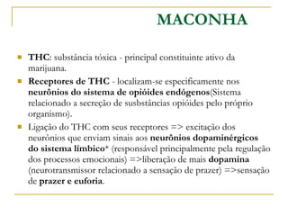 THC : substância tóxica - principal constituinte ativo da marijuana. Receptores de THC  - localizam-se especificamente nos  neurônios do sistema de opióides endógenos (Sistema relacionado a secreção de susbstâncias opióides pelo próprio organismo). Ligação do THC com seus receptores => excitação dos neurônios que enviam sinais aos  neurônios dopaminérgicos do sistema límbico * (responsável principalmente pela regulação dos processos emocionais) =>liberação de mais  dopamina  (neurotransmissor relacionado a sensação de prazer) =>sensação de  prazer e euforia . MACONHA 