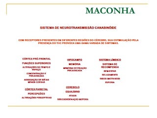 MACONHA 