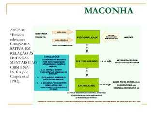 MACONHA ANOS 40  *Estudos relevantes  CANNABIS SATIVA EM RELAÇÃO ÀS DOENÇAS MENTAIS E AO CRIME NA ÍNDIA por Chopra et al (1942). 