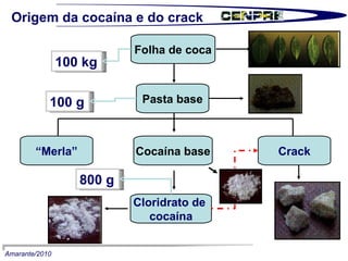 Folha de coca Pasta base “ Merla” Cocaína base Crack Cloridrato de  cocaína 100 kg  100 g  800 g  Origem da cocaína e do crack Amarante/2010 