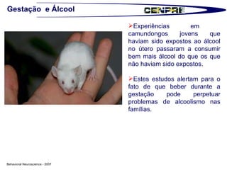 Gestação  e Álcool Experiências em  camundongos jovens que haviam sido expostos ao álcool no útero passaram a consumir bem mais álcool do que os que não haviam sido expostos. Estes estudos alertam para o fato de que beber durante a gestação pode perpetuar problemas de alcoolismo nas famílias. Behavioral Neuroscience - 2007 