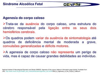 Síndrome Alcoólica Fetal National Institute of Neurological Disorders and Stroke (NINDS). Agenesis of the corpus callosum information page [online]. Available from:  URL:  http://www.ninds.nih.gov/health_and_medical/disorders/agenesis_doc.htm#  What_is_Agenesis_of_the_Corpus_Callosum.  Agenesia do corpo caloso Trata-se da  ausência  do corpo caloso, uma estrutura do cérebro responsável pela  ligação entre os seus dois hemisférios cerebrais.  Os quadros podem  variar da ausência de sintomatologia  até quadros de deficiência mental de moderada a grave,  convulsões generalizadas  e  déficits motores .  A agenesia de corpo caloso  não representa  um perigo de vida, mas é capaz de causar grandes debilidades ao indivíduo.  