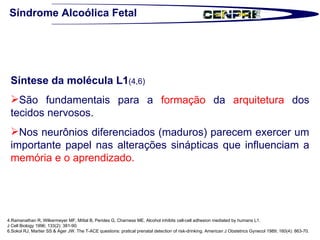 Síndrome Alcoólica Fetal Síntese da molécula L1 (4,6) São fundamentais para a  formação  da  arquitetura  dos tecidos nervosos.  Nos neurônios diferenciados (maduros) parecem exercer um importante papel nas alterações sinápticas que influenciam a  memória e o aprendizado.  4.Ramanathan R, Wilkermeyer MF, Mittal B, Perides G, Charness ME. Alcohol inhibits cell-cell adhesion mediated by humans L1.  J Cell Biology 1996; 133(2): 381-90.  6.Sokol RJ, Martier SS & Ager JW. The T-ACE questions: pratical prenatal detection of risk-drinking. American J Obstetrics Gynecol 1989; 160(4): 863-70. 