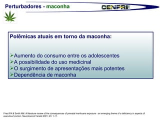 Perturbadores -  maconha Polêmicas atuais em torno da maconha: Aumento do consumo entre os adolescentes A possibilidade do uso medicinal O surgimento de apresentações mais potentes Dependência de maconha Fried PA & Smith AM. A literature review of the consequences of prenatal marihuana exposure - an emerging theme of a deficiency in aspects of executive function. Neurotoxicol Teratol 2001; 23: 1-11. 