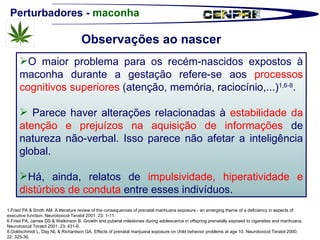 Perturbadores -  maconha 1.Fried PA & Smith AM. A literature review of the consequences of prenatal marihuana exposure - an emerging theme of a deficiency in aspects of executive function. Neurotoxicol Teratol 2001; 23: 1-11. 6. Fried PA, James DS & Watkinson B. Growth and puberal milestones during adolescence in offspring prenatally exposed to cigarettes and marihuana. Neurotoxicol Teratol 2001; 23: 431-6. 8. Goldschmidt L, Day NL & Richardson GA. Effects of prenatal marijuana exposure on child behavior problems at age 10. Neurotoxicol Teratol 2000; 22: 325-36. O maior problema para os recém-nascidos expostos à maconha durante a gestação refere-se aos  processos cognitivos superiores  (atenção, memória, raciocínio,...) 1,6-8 .  Parece haver alterações relacionadas à  estabilidade da atenção e prejuízos na aquisição de informações  de natureza não-verbal. Isso parece não afetar a inteligência global. Há, ainda, relatos de  impulsividade, hiperatividade e distúrbios de conduta  entre esses indivíduos. Observações ao nascer 