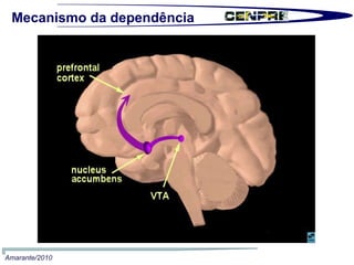 Amarante/2010 Mecanismo da dependência 