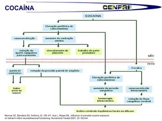 Morrow CE, Bandstra ES, Anthony JC, Ofir AY, Xue L, Reyes ML. Influence of prenatal cocaine exposure  on full-term infant neurobehavioral functioning. Nurotoxicol Teratol 2001; 23: 533-44.   COCAÍNA 