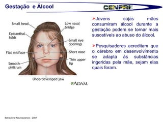 Gestação  e Álcool Jovens cujas mães consumiram álcool durante a gestação podem se tornar mais suscetíveis ao abuso do álcool.  Pesquisadores acreditam que o cérebro em desenvolvimento se adapta às substâncias ingeridas pela mãe, sejam elas quais foram.  Behavioral Neuroscience - 2007 