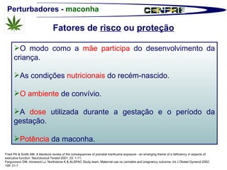 Perturbadores -  maconha Fried PA & Smith AM. A literature review of the consequences of prenatal marihuana exposure - an emerging theme of a deficiency in aspects of executive function. Neurotoxicol Teratol 2001; 23: 1-11. Fergunsson DM, Horwood LJ, Northstone K & ALSPAC Study team. Maternal use os cannabis and pregnancy outcome. Int J Obstet Gynecol 2002; 109: 21-7. O modo como a  mãe participa  do desenvolvimento da criança.  As condições  nutricionais  do recém-nascido. O ambiente  de convívio. A  dose  utilizada durante a gestação e o período da gestação. Potência  da maconha.  Fatores de  risco  ou  proteção 