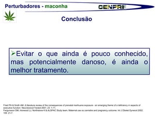 Perturbadores -  maconha Fried PA & Smith AM. A literature review of the consequences of prenatal marihuana exposure - an emerging theme of a deficiency in aspects of executive function. Neurotoxicol Teratol 2001; 23: 1-11. Fergunsson DM, Horwood LJ, Northstone K & ALSPAC Study team. Maternal use os cannabis and pregnancy outcome. Int J Obstet Gynecol 2002; 109: 21-7. Evitar o que ainda é pouco conhecido, mas potencialmente danoso, é ainda o melhor tratamento. Conclusão  