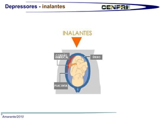 Depressores -  inalantes Amarante/2010 