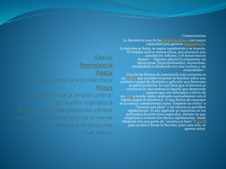Consecuencias
La heroína es una de las drogas de abuso con mayor
capacidad para generar dependencia.
La heroína se fuma, se aspira nasalmente y se inyecta.
El empleo oral es menos eficaz, por provocar una
asimilación inferior, y el rectal está en
desuso.46 Algunos adictos la consumen vía
intravenosa (inyectándoselas), fumándola,
esnifándola o inhalando con una cuchara y un
encendedor.47
Una de las formas de consumirla más comunes es
un Chino que consiste en poner la heroína sobre una
cuchara o papel de aluminio y aplicarle una llama por
su parte posterior, lo cual hace que la heroína se
convierta en una sustancia líquida que desprende
vapores que son inhalados a través de
un rulo o turulo (tubo, realizado normalmente con el
mismo papel de aluminio). A esta forma de consumo
se la conoce comúnmente como "fumarse un chino" o
"hacerse una plata" y los efectos se perciben
rápidamente. El aire aspirado se mantiene en los
pulmones durante unos segundos, tiempo en que
empiezan a notarse los efectos rápidamente. Suele
rebajarse con una parte de "cocaína en base" (Crack)
para ayudar a licuar la heroína, pues esta sola, se
quema antes.
 
