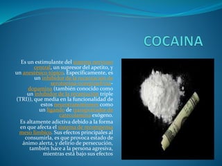 Es un estimulante del sistema nervioso
central, un supresor del apetito, y
un anestésico tópico. Específicamente, es
un inhibidor de la recantación de
serotonina-norepinefrina-
dopamina (también conocido como
un inhibidor de la recantación triple
(TRI)), que media en la funcionalidad de
estos neurotransmisores como
un ligando de transportador de
catecolamina exógeno.
Es altamente adictiva debido a la forma
en que afecta el sistema de recompensa
meso límbico. Sus efectos principales al
consumirla, es que provoca estado de
ánimo alerta, y delirio de persecución,
también hace a la persona agresiva,
mientras está bajo sus efectos
 