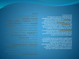 Consecuencias
El riesgo de morir por sobredosis de
cocaína es aproximadamente 20 veces menor
que para los consumidores de heroína. En
Alemania menos del 2% de los muertos por
drogas mueren por una sobredosis de cocaína.
El riesgo de morir por una intoxicación de
mezcla es sensiblemente mayor. Cerca del 6%
de los muertos debido a drogas en Alemania
se deben a una intoxicación de mezcla.
La cocaína puede producir psicosis cocaínica,
síndrome de conducta que guarda gran
parecido con la esquizofrenia paranoide, con
la que a veces se ha confundido.
La Cocaína actúa en el cerebro modificando
los circuitos responsables de la gratificación y
del placer. Su consumo continuado reduce la
capacidad de los consumidores de
experimentar placer de forma natural (a través
del sexo, la comida...) y les hace menos
sensibles a las gratificaciones y emociones.
Por esto, la Cocaína resulta tan adictiva.
 