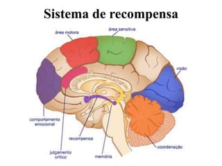 Sistema de recompensa
 