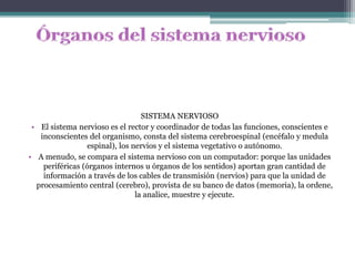 SISTEMA NERVIOSOEl sistema nervioso es el rector y coordinador de todas las funciones, conscientes e inconscientes del organismo, consta del sistema cerebroespinal (encéfalo y medula espinal), los nervios y el sistema vegetativo o autónomo.A menudo, se compara el sistema nervioso con un computador: porque las unidades periféricas (órganos internos u órganos de los sentidos) aportan gran cantidad de información a través de los cables de transmisión (nervios) para que la unidad de procesamiento central (cerebro), provista de su banco de datos (memoria), la ordene, la analice, muestre y ejecute.Órganos del sistema nervioso