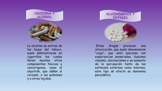 NICOTINA Y
ALCOHOL
ALUCINÓGENOS Y
ÉXTASIS
La nicotina se extrae de
las hojas del tabaco,
suele administrarse en
cigarrillos los cuales
llevan muchos otros
componentes tóxicos y
cancerígenos, como el
alquitrán, que dañan al
corazón, a los pulmones
y a otros tejidos.
Estas drogas provocan una
intoxicación, que suele denominarse
“viaje”, que está asociada con
experiencias sensoriales, ilusiones
visuales, alucinaciones y un aumento
de la percepción tanto de los
estímulos externos como internos,
este tipo de efecto se denomina
psicodélico.
 