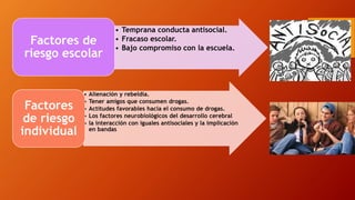 • Temprana conducta antisocial.
• Fracaso escolar.
• Bajo compromiso con la escuela.
Factores de
riesgo escolar
• Alienación y rebeldía.
• Tener amigos que consumen drogas.
• Actitudes favorables hacia el consumo de drogas.
• Los factores neurobiológicos del desarrollo cerebral
• la interacción con iguales antisociales y la implicación
en bandas
Factores
de riesgo
individual
 