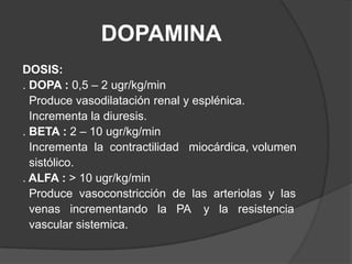 DOPAMINADOSIS:. DOPA : 0,5 – 2 ugr/kg/min  Produce vasodilatación renal y esplénica.  Incrementa la diuresis.. BETA : 2 – 10 ugr/kg/min  Incrementa  la  contractilidad   miocárdica, volumen  sistólico.. ALFA : > 10 ugr/kg/min  Produce  vasoconstricción  de  las  arteriolas  y  las    venas   incrementando   la   PA    y   la   resistencia   vascular sistemica. 