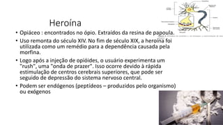 Heroína 
• Opiáceo : encontrados no ópio. Extraídos da resina de papoula. 
• Uso remonta do século XIV. No fim de século XIX, a heroína foi 
utilizada como um remédio para a dependência causada pela 
morfina. 
• Logo após a injeção de opióides, o usuário experimenta um 
"rush", uma "onda de prazer". Isso ocorre devido à rápida 
estimulação de centros cerebrais superiores, que pode ser 
seguido de depressão do sistema nervoso central. 
• Podem ser endógenos (peptídeos – produzidos pelo organismo) 
ou exógenos 
 
