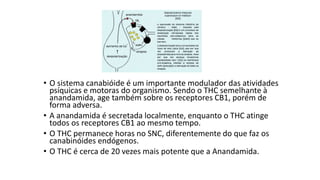 • O sistema canabióide é um importante modulador das atividades 
psíquicas e motoras do organismo. Sendo o THC semelhante à 
anandamida, age também sobre os receptores CB1, porém de 
forma adversa. 
• A anandamida é secretada localmente, enquanto o THC atinge 
todos os receptores CB1 ao mesmo tempo. 
• O THC permanece horas no SNC, diferentemente do que faz os 
canabinóides endógenos. 
• O THC é cerca de 20 vezes mais potente que a Anandamida. 
 