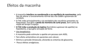 Efeitos da maconha 
• A maconha interfere na coordenação e no equilibrio de movimentos, pelo 
fato de alterar o funcionamento normal das vias GABA e glutamato do 
cerebelo. 
• O THC inibe principalmente a via excitatória dos neurônios presentes no 
hipocampo. Isso gera a perda da memória de curto prazo, bem como da 
noção de tempo e espaço. 
• O THC inibe a produção da leptina (hormônio supressor do apetite) no 
hipotálamo, o que gera sensação de fome. 
• Uso terapêutico: 
• A maconha pode estimular o apetite em pessoas com AIDS; 
• Tem efeito antiemético em pacientes com câncer; 
• Diminui a pressão intraocular, aliviando os sintomas do glaucoma; 
• Possui efeitos analgésicos. 
 