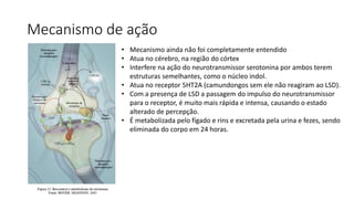 Mecanismo de ação 
• Mecanismo ainda não foi completamente entendido 
• Atua no cérebro, na região do córtex 
• Interfere na ação do neurotransmissor serotonina por ambos terem 
estruturas semelhantes, como o núcleo indol. 
• Atua no receptor 5HT2A (camundongos sem ele não reagiram ao LSD). 
• Com a presença de LSD a passagem do impulso do neurotransmissor 
para o receptor, é muito mais rápida e intensa, causando o estado 
alterado de percepção. 
• É metabolizada pelo fígado e rins e excretada pela urina e fezes, sendo 
eliminada do corpo em 24 horas. 
 