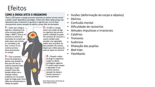 Efeitos 
• Ilusões (deformação do corpo e objetos) 
• Delírios 
• Confusão mental 
• Dificuldade de raciocínio 
• Atitudes impulsivas e irracionais 
• Calafrios 
• Tremores 
• Sudorese 
• Dilatação das pupilas 
• Bad trips 
• Flashbacks 
 
