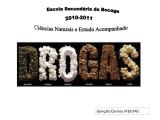              Escola Secundária de Bocage 2010-2011 Ciências Naturais e Estudo Acompanhado Gonçalo Correia nº18 9ºG 