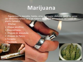 Marijuana
Popularmente maconha, liamba, erva, marijuana cânhamo, ganja ou ganza
(do sânscrito) refere-se a um número de drogas psicoactivas derivadas da
planta Cannabis.
Efeitos:
 Ataque psicótico;
 Esquizofrenia;
 Ataques de ansiedade;
 Ataques de Panico;
 Paranóia;
Alucinação.

 