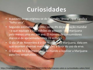 Curiosidades
• A palavra droga originou-se do holandês “droog”, que significa
“folha seca”.
• Segundo estimativas da ONU, cerca 4% da população mundial
- o que equivale a 165 milhões de pessoas - usa marijuana
pelo menos uma vez por ano. O número de consumidores
diários é de aproximadamente 22 milhões.
• O dia 1º de Novembro é o Dia Nacional da Marijuana, data em
que ocorrem diversas manifestações a favor do uso da erva.
• O Canadá foi o primeiro país do mundo a legalizar a Marijuana
para fins terapêuticos.

http://maisquecuriosidade.blogspot.pt/2010/08/informacoes-uteis-e-curiosidades-sobre.html

 