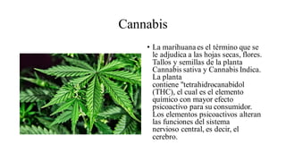 Cannabis
• La marihuana es el término que se
le adjudica a las hojas secas, flores.
Tallos y semillas de la planta
Cannabis sativa y Cannabis Indica.
La planta
contiene "tetrahidrocanabidol
(THC), el cual es el elemento
químico con mayor efecto
psicoactivo para su consumidor.
Los elementos psicoactivos alteran
las funciones del sistema
nervioso central, es decir, el
cerebro.
 