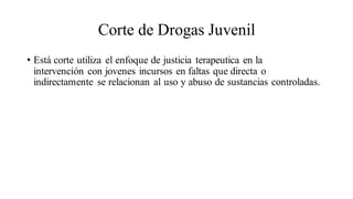 Corte de Drogas Juvenil
• Está corte utiliza el enfoque de justicia terapeutica en la
intervención con jovenes incursos en faltas que directa o
indirectamente se relacionan al uso y abuso de sustancias controladas.
 