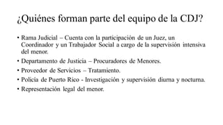 ¿Quiénes forman parte del equipo de la CDJ?
• Rama Judicial – Cuenta con la participación de un Juez, un
Coordinador y un Trabajador Social a cargo de la supervisión intensiva
del menor.
• Departamento de Justicia – Procuradores de Menores.
• Proveedor de Servicios – Tratamiento.
• Policía de Puerto Rico - Investigación y supervisión diurna y nocturna.
• Representación legal del menor.
 