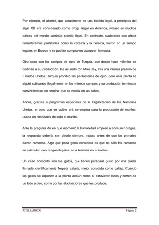 ADELA ANCCO Página 2
Por ejemplo, el alcohol, que actualmente es una bebida legal, a principios del
siglo XX era considerado como droga ilegal en América, incluso en muchos
países del mundo continúa siendo ilegal. En contraste, sustancias que ahora
consideramos prohibidas como la cocaína y la heroína, fueron en un tiempo
legales en Europa y se podían comprar en cualquier farmacia.
Otro caso son los campos de opio de Turquía, que desde hace milenios se
dedican a su producción. De acuerdo con Mike Jay, tras una intensa presión de
Estados Unidos, Turquía prohibió las plantaciones de opio, pero esta planta se
siguió cultivando ilegalmente en los mismos campos y su producción terminaba
convirtiéndose en heroína que se vendía en las calles.
Ahora, gracias a programas especiales de la Organización de las Naciones
Unidas, el opio que se cultiva ahí, se emplea para la producción de morfina,
usada en hospitales de todo el mundo.
Ante la pregunta de en qué momento la humanidad empezó a consumir drogas,
la respuesta debería ser: desde siempre, incluso antes de que los primates
fueran humanos. Algo que poca gente considera es que no sólo los humanos
se estimulan con drogas ilegales, sino también los animales.
Un caso conocido son los gatos, que tienen particular gusto por una planta
llamada científicamente Nepeta cataria, mejor conocida como catnip. Cuando
los gatos se exponen a la planta actúan como si estuvieran locos y corren de
un lado a otro, como por las alucinaciones que les produce.
 