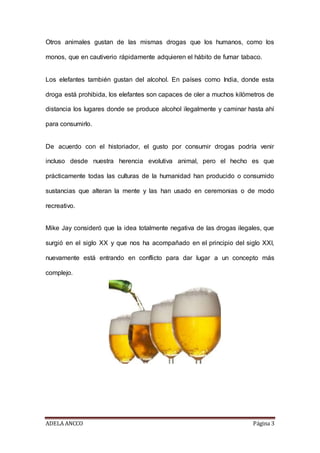 ADELA ANCCO Página 3
Otros animales gustan de las mismas drogas que los humanos, como los
monos, que en cautiverio rápidamente adquieren el hábito de fumar tabaco.
Los elefantes también gustan del alcohol. En países como India, donde esta
droga está prohibida, los elefantes son capaces de oler a muchos kilómetros de
distancia los lugares donde se produce alcohol ilegalmente y caminar hasta ahí
para consumirlo.
De acuerdo con el historiador, el gusto por consumir drogas podría venir
incluso desde nuestra herencia evolutiva animal, pero el hecho es que
prácticamente todas las culturas de la humanidad han producido o consumido
sustancias que alteran la mente y las han usado en ceremonias o de modo
recreativo.
Mike Jay consideró que la idea totalmente negativa de las drogas ilegales, que
surgió en el siglo XX y que nos ha acompañado en el principio del siglo XXI,
nuevamente está entrando en conflicto para dar lugar a un concepto más
complejo.
 
