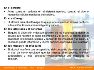Problemas en la comunidad NM3 Biología
Efectos inmediatos del alcoholEn el cerebro
• Actúa como un sedante en el sistema nervioso central, el alcohol
reduce las células nerviosas del cerebro.
En el estómago
• El alcohol irrita el estómago, lo que puede ocasionar úlceras pépticas,
inflamación, lesiones hemorrágicas y cáncer.
En los intestinos y el páncreas
• Bloquea la absorción y descomposición de los nutrientes al dañar las
células que revisten el tracto del intestino y el colon. El alcohol puede
ocasionar inflamación, úlceras y cáncer de los intestinos y el colon. El
páncreas puede inflamarse y liberar enzimas digestivas que lo atacan.
En los huesos y los músculos
• El alcohol interfiere con la capacidad del cuerpo de absorber el calcio,
lo que da como resultado que los huesos sean débiles, blandos,
quebradizos y más delgados (osteoporosis.) Los músculos se
debilitan.
 