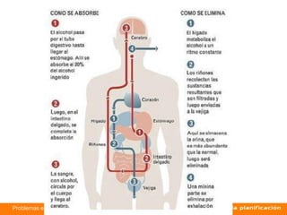 Problemas en la comunidad NM3 Biología
 